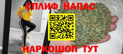 МДПВ Моздок