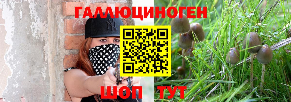 Псилоцибиновые грибы GOLDEN TEACHER Похвистнево