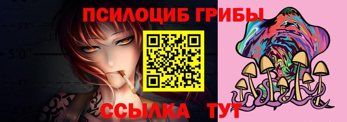 Похвистнево  Псилоцибиновые грибы MAGIC MUSHROOMS  Вход с VPN 